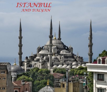 ISTANBUL & DALYAN book cover