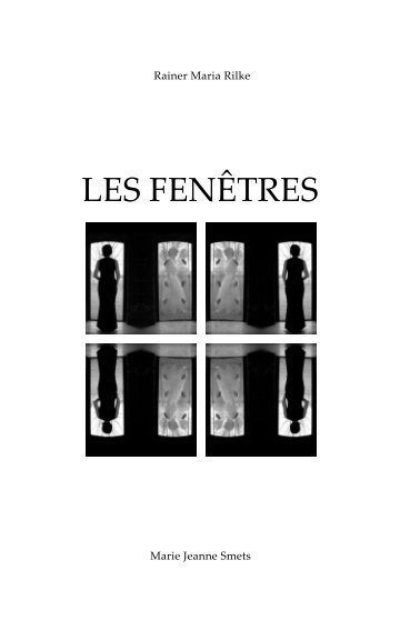 View Les Fenêtres by MJ SMETS
