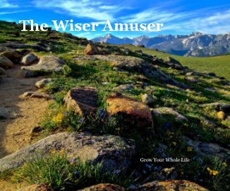 The Wiser Amuser book cover