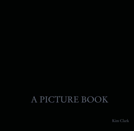 View A PICTURE BOOK by Kim Clark