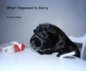 What Happened to Darcy book cover