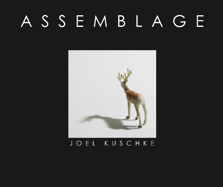 View Assemblage by Joel Kuschke