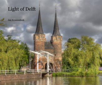 Light of Delft book cover