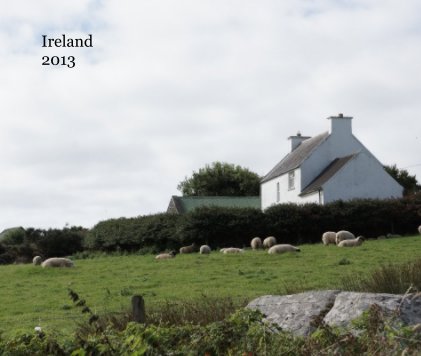 Ireland 2013 book cover