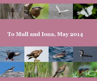 To Mull and Iona, May 2014 book cover