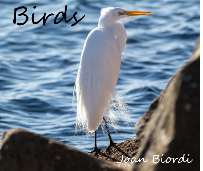 Bekijk Birds op Joan Biordi