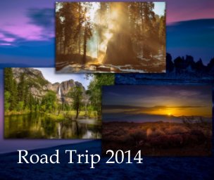 Road Trip 2014 book cover