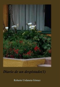 Diario de un despistado(1) book cover