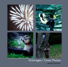 Grsimages / Cover Photos book cover
