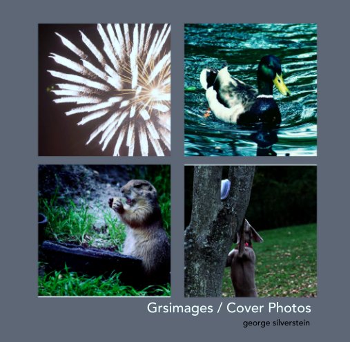 View Grsimages / Cover Photos by george silverstein