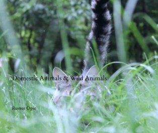 Domestic Animals & Wild Animals book cover
