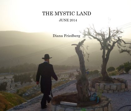 THE MYSTIC LAND JUNE 2014 book cover