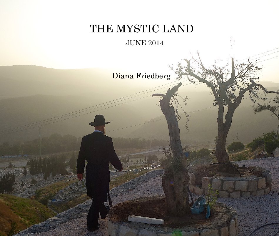 THE MYSTIC LAND JUNE 2014 nach Diana Friedberg anzeigen