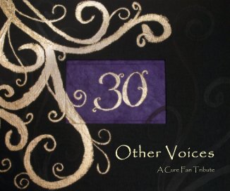 Other Voices book cover