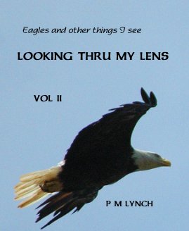 Eagles and other things I see LOOKING THRU MY LENS VOL II P M LYNCH book cover