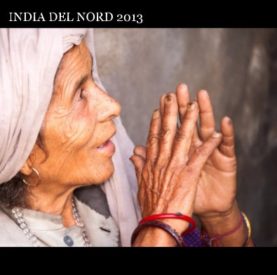 INDIA DEL NORD 2013 book cover