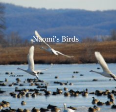 Naomi's Birds book cover