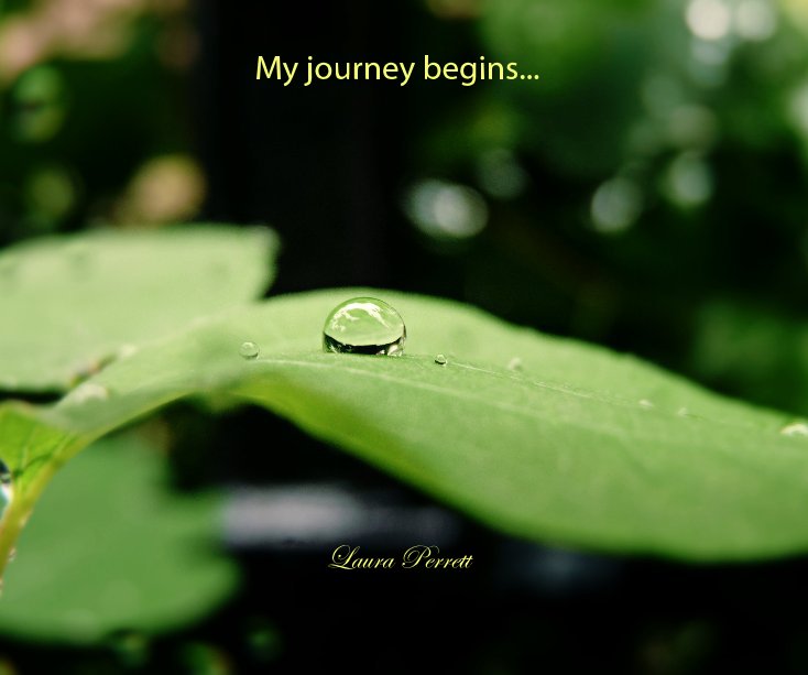 View My journey begins... by Laura Perrett