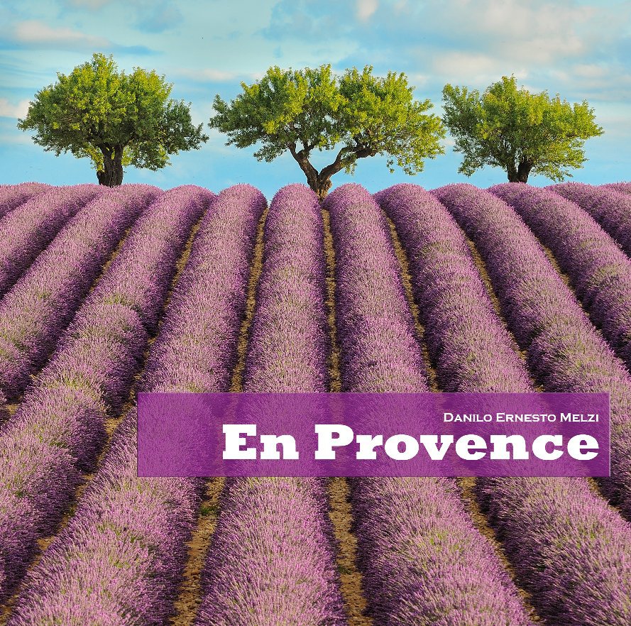 View En Provence by Danilo Ernesto Melzi
