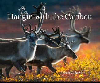 Hangin with the Caribou book cover
