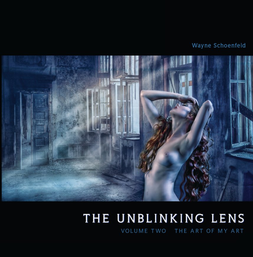 View The Unblinking Lens by Wayne Schoenfeld