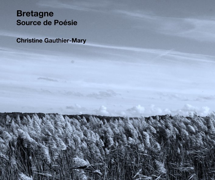 View Bretagne by Christine Gauthier-Mary