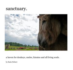 sanctuary. book cover