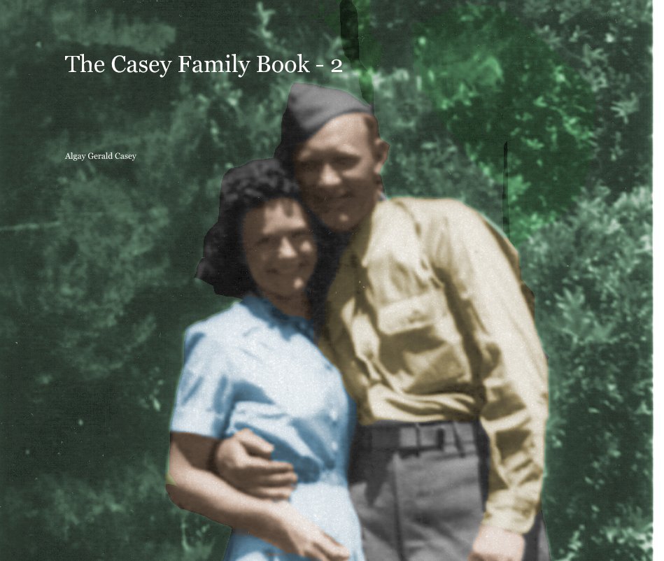 The Casey Family Book - 2 nach Algay Gerald Casey anzeigen