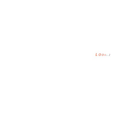 L O O K S  2 book cover