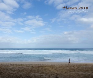 Hawaii - Stephen Blyskal book cover