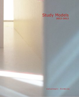 Study Models 2012-2013 book cover
