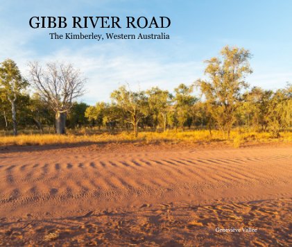 GIBB RIVER ROAD book cover