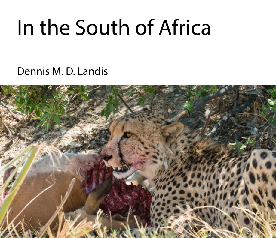 View In the South of Africa by Dennis Landis