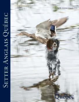 Setter anglais Québec book cover