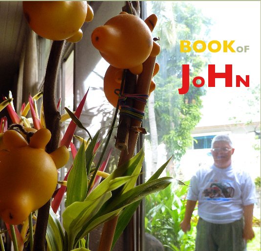View Book of JOHN by Joe Kredlow