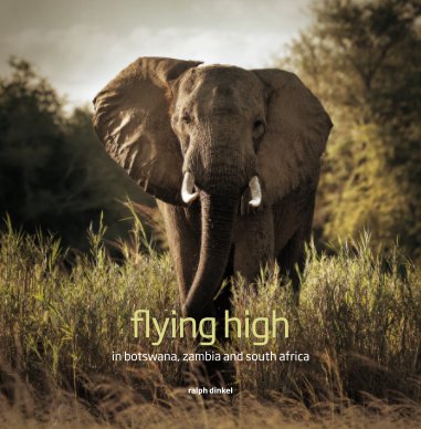 FLYING HIGH (Deluxe Edition) book cover