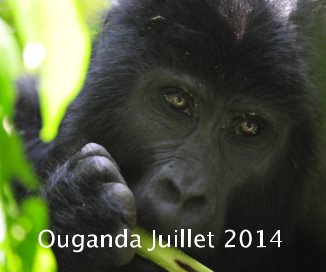 Ouganda Juillet 2014 book cover