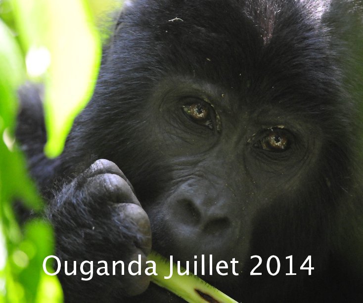 Ouganda Juillet 2014 nach Marie de Carne anzeigen