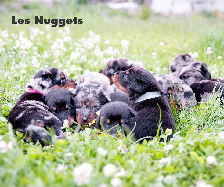 View Les Nuggets by Ludivine Courcelle