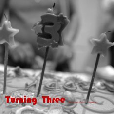 Turning  Three  by carucha l.   meuse book cover