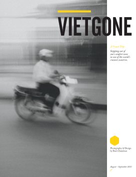 VIETGONE book cover