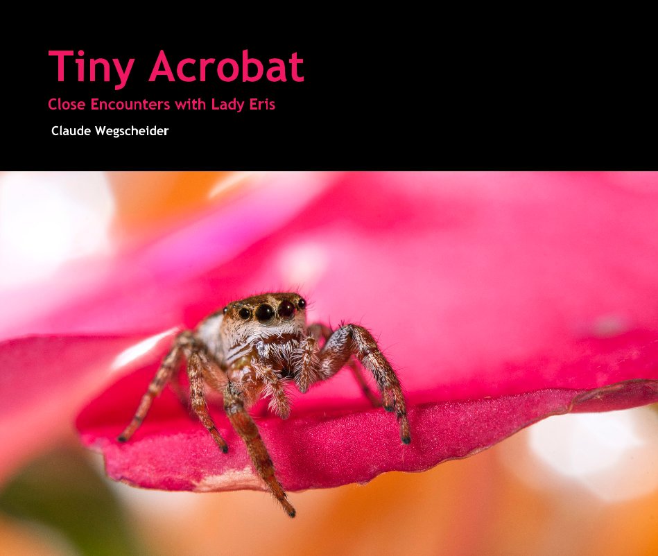 View Tiny Acrobat by Claude Wegscheider