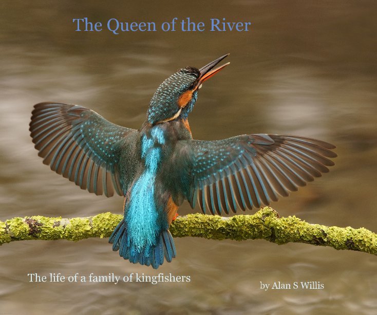 View The Queen of the River by Alan S Willis