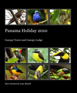 Panama Holiday 2010 book cover