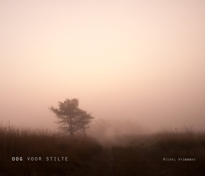 View Oog voor stilte by Michel Wydooghe