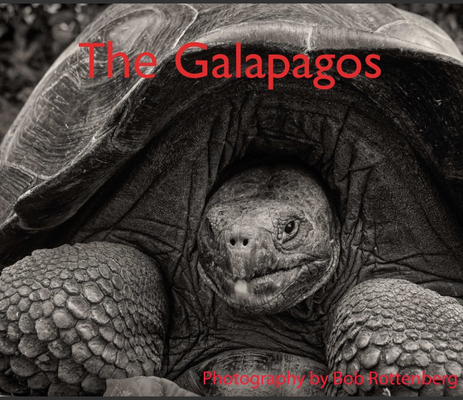 View The Galapagos by Bob Rottenberg