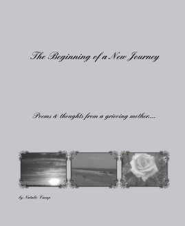 The Beginning of a New Journey book cover