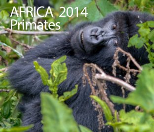 Africa 2014 book cover