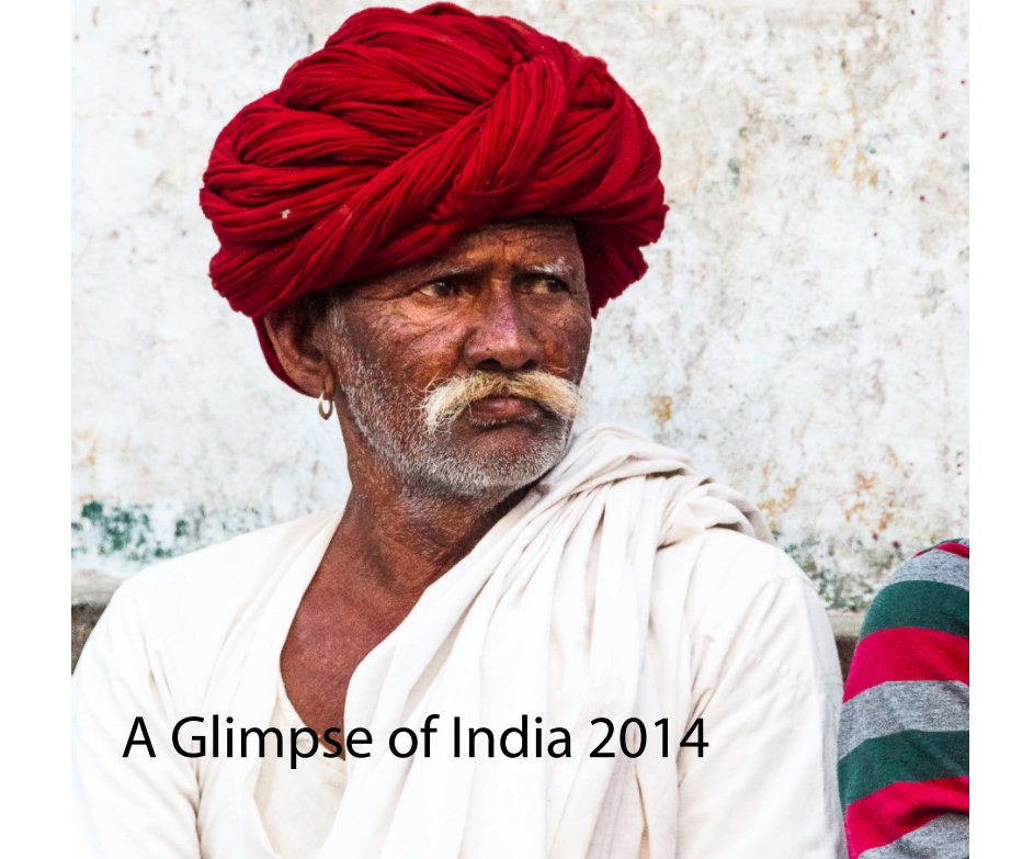 View A Glimpse of India 2014 by Jacqueline Mullins