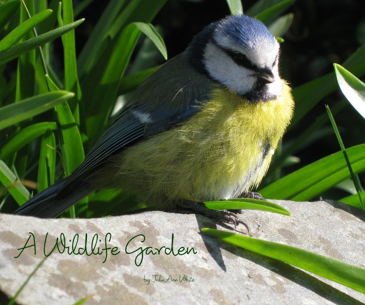 View A Wildlife Garden by Julia Ann White